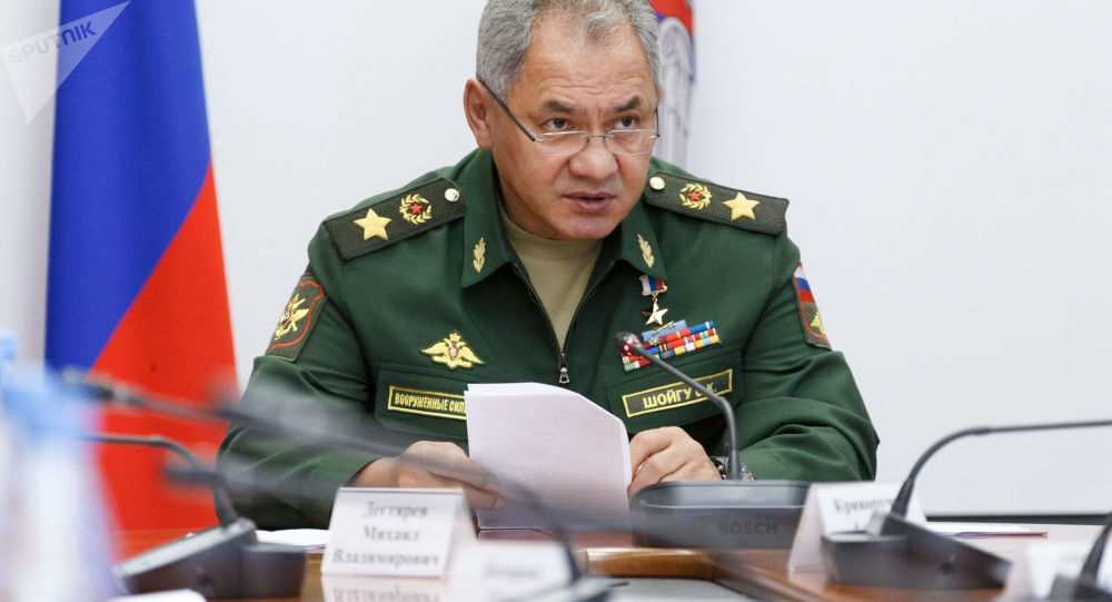 俄越两国国防部长签署军事技术合作的协议