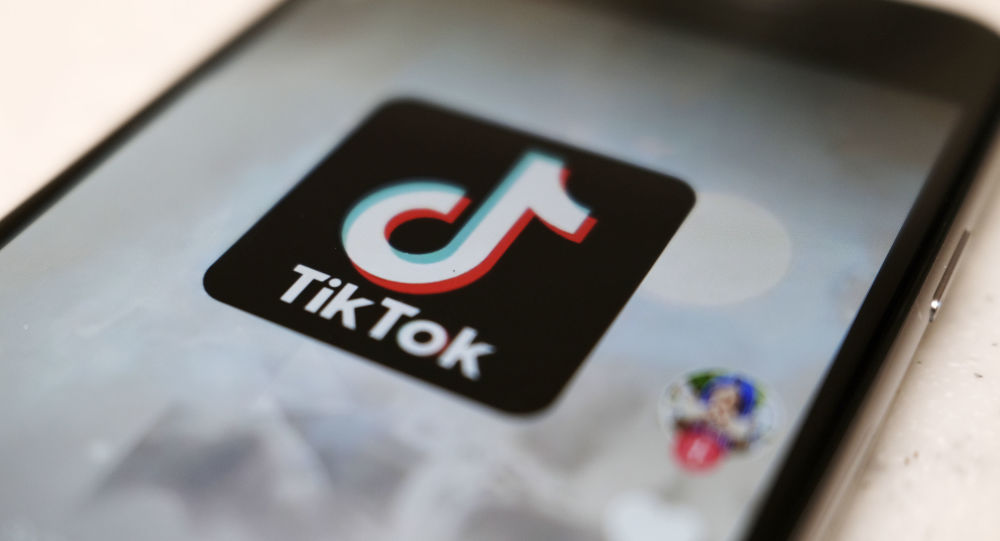 媒体:tiktok请求美国法院阻止禁止使用的决定 - 2020
