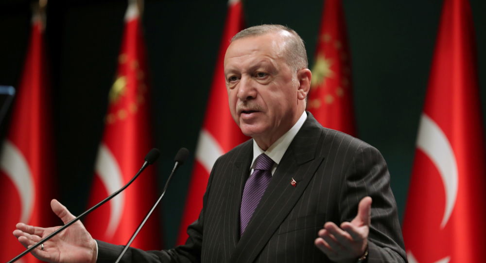埃尔多安总统：土耳其继续与非洲接近方针