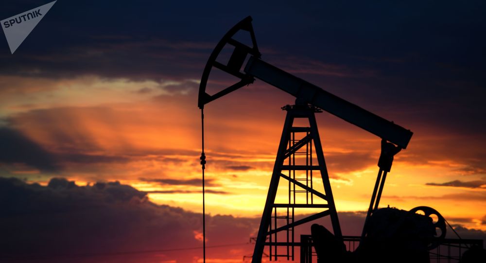 俄自然资源部：最近十年内俄石油储备减少近33%