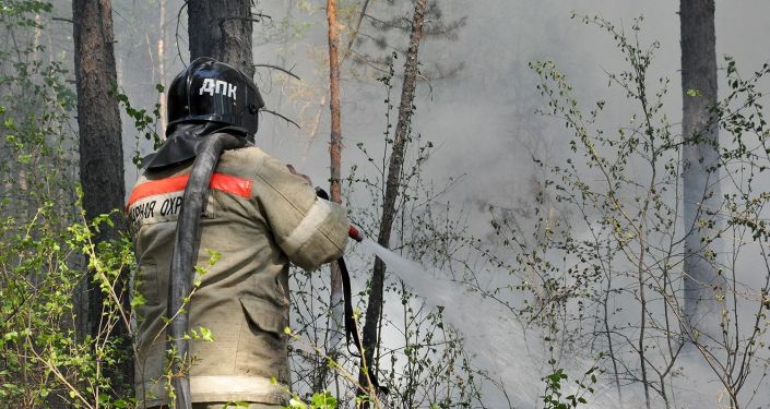 俄森林消防部门一天扑灭114处森林火灾