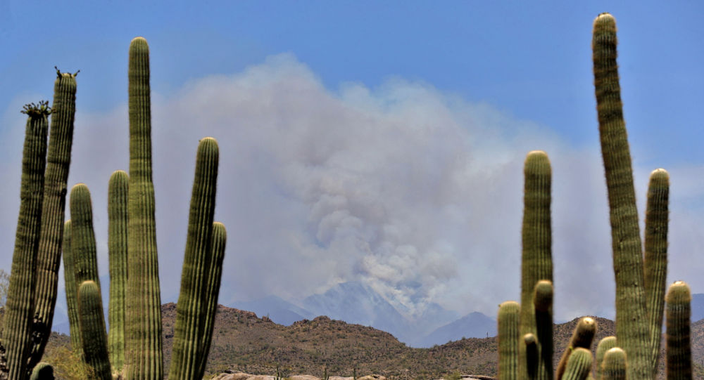 媒体：美国亚利桑那州林火覆盖2.4万多公顷面积