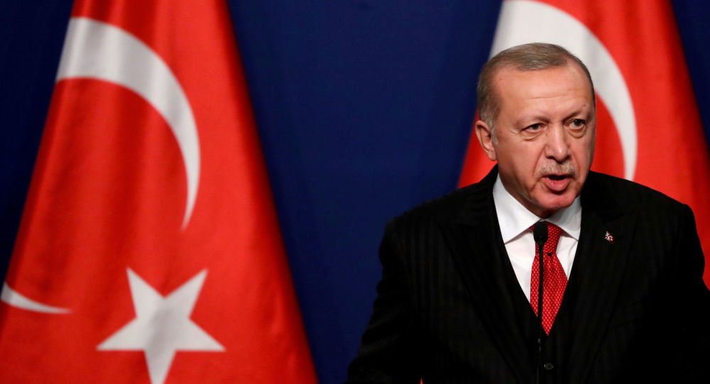 土耳其总统威胁将呼吁释放人权活动家的十国大使驱逐出境