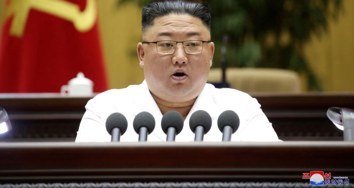 朝鲜试射远程巡航导弹 金正恩未到场观摩 俄议员:朝鲜测试新式巡航导弹没有对<a href=
