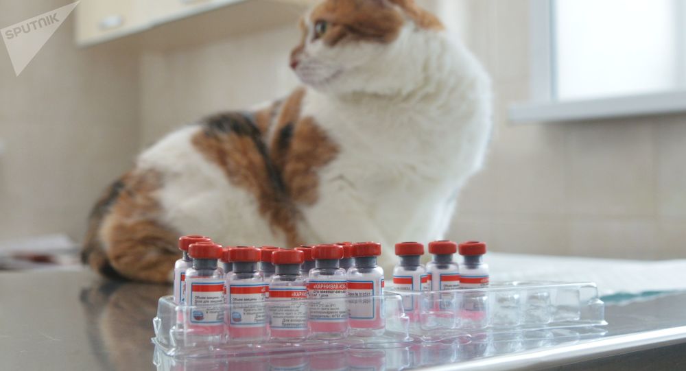 俄罗斯开始在拉丁美洲注册动物用 COVID 新冠疫苗