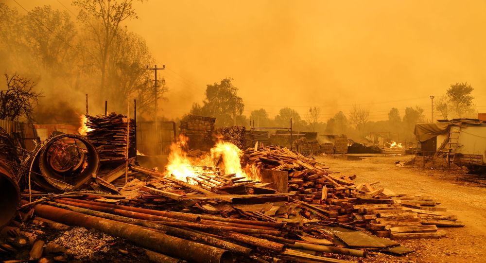 土耳其政府：森林火灾已致42个居民点受灾 但情况正在好转