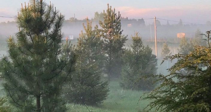 普卡洛夫的家庭庄园：雨后黎明