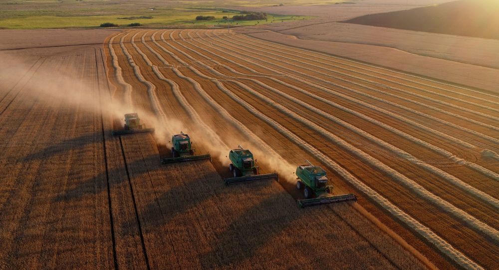 俄罗斯2021年农产品出口总额突破300亿美元