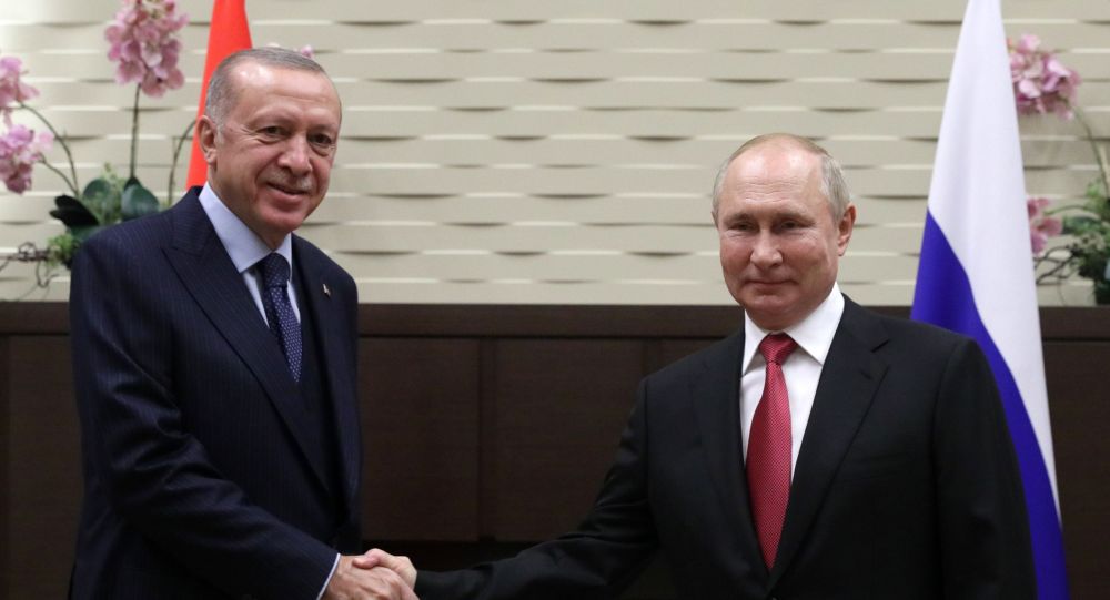普京与埃尔多安对两国在稳定叙利亚局势问题上的互动水平表示满意