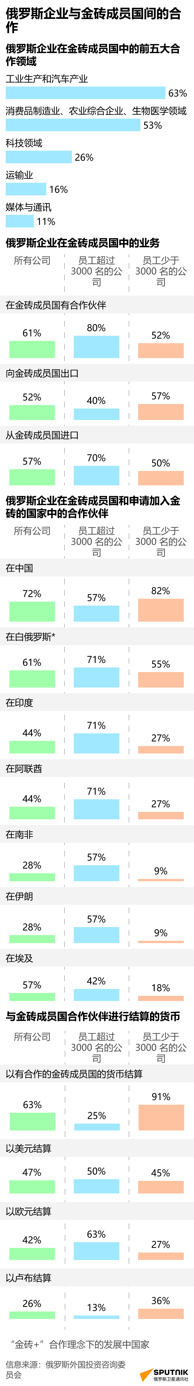 俄罗斯与金砖成员国的经济合作 - 俄罗斯卫星通讯社