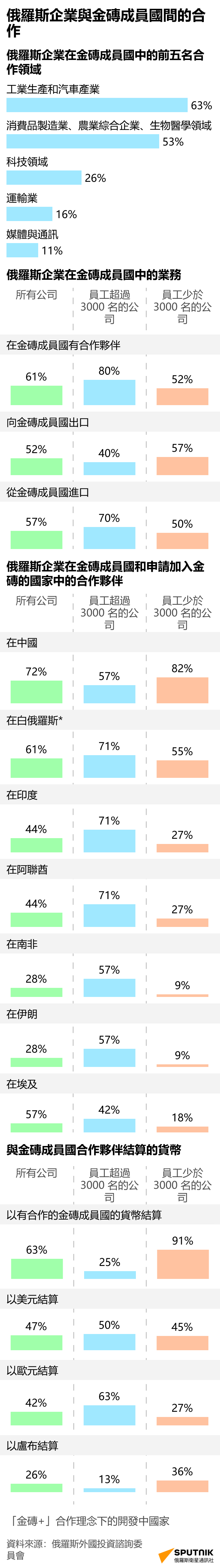 俄羅斯與金磚成員國的經濟合作 - 俄羅斯衛星通訊社