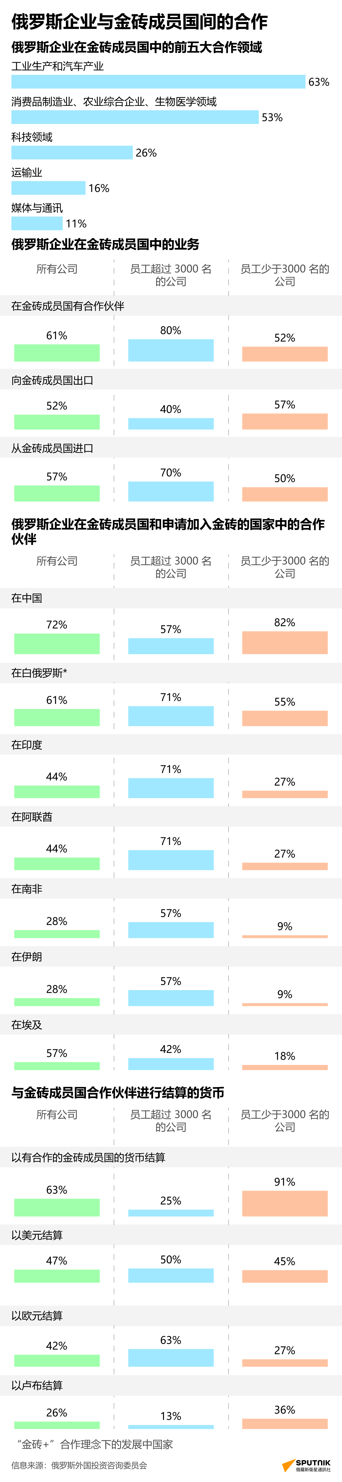 俄罗斯与金砖成员国的经济合作 - 俄罗斯卫星通讯社