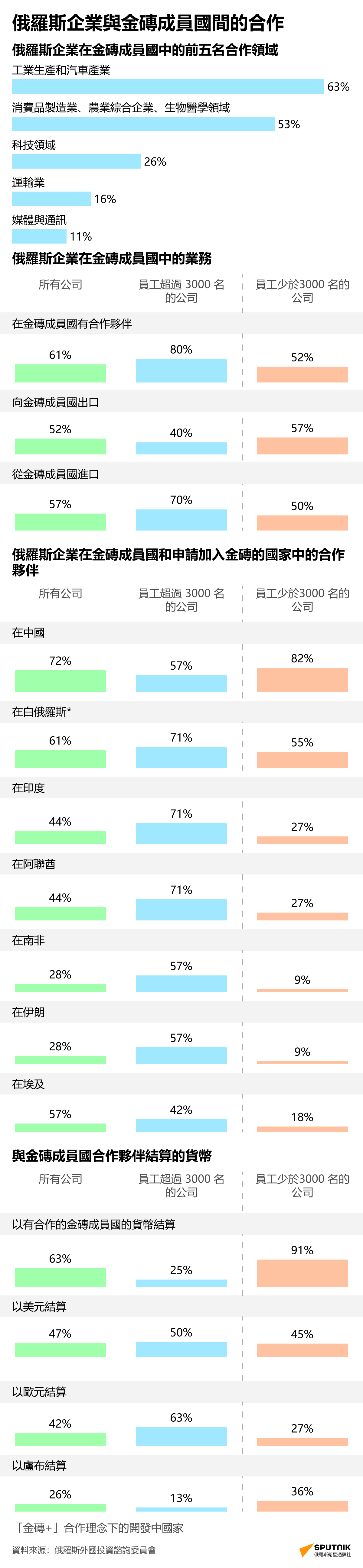 俄羅斯與金磚成員國的經濟合作 - 俄羅斯衛星通訊社