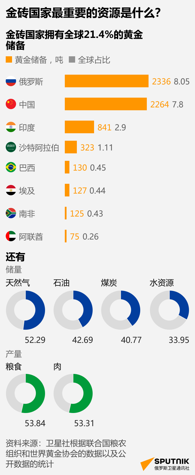 金砖国家最重要的资源是什么？ - 俄罗斯卫星通讯社