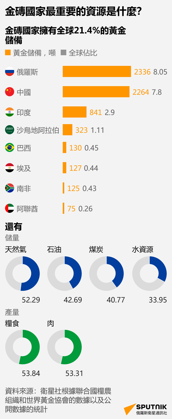 金磚國家最重要的資源是甚麼？ - 俄羅斯衛星通訊社