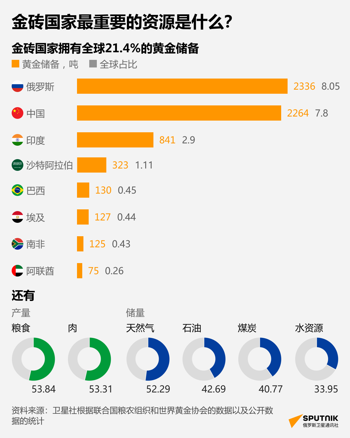 金砖国家最重要的资源是什么？ - 俄罗斯卫星通讯社