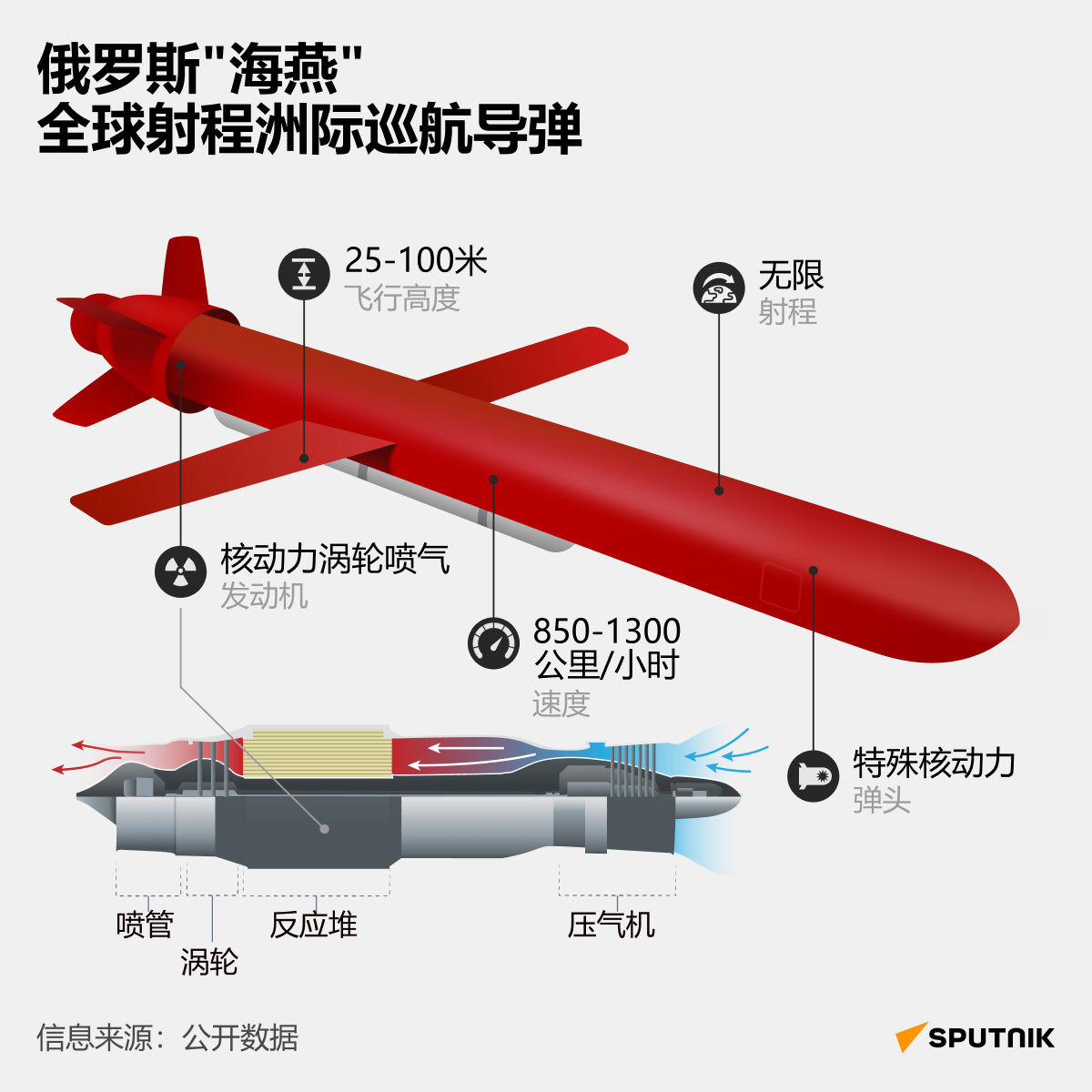 俄罗斯海燕全球射程洲际巡航导弹 俄罗斯海燕全球射程洲际巡航导弹 - 俄罗斯卫星通讯社