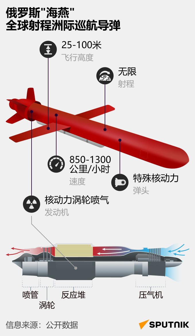 俄罗斯海燕全球射程洲际巡航导弹 俄罗斯海燕全球射程洲际巡航导弹 - 俄罗斯卫星通讯社