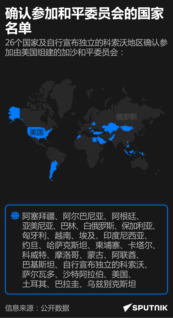 26国确认参加加沙和平委员会 - 俄罗斯卫星通讯社