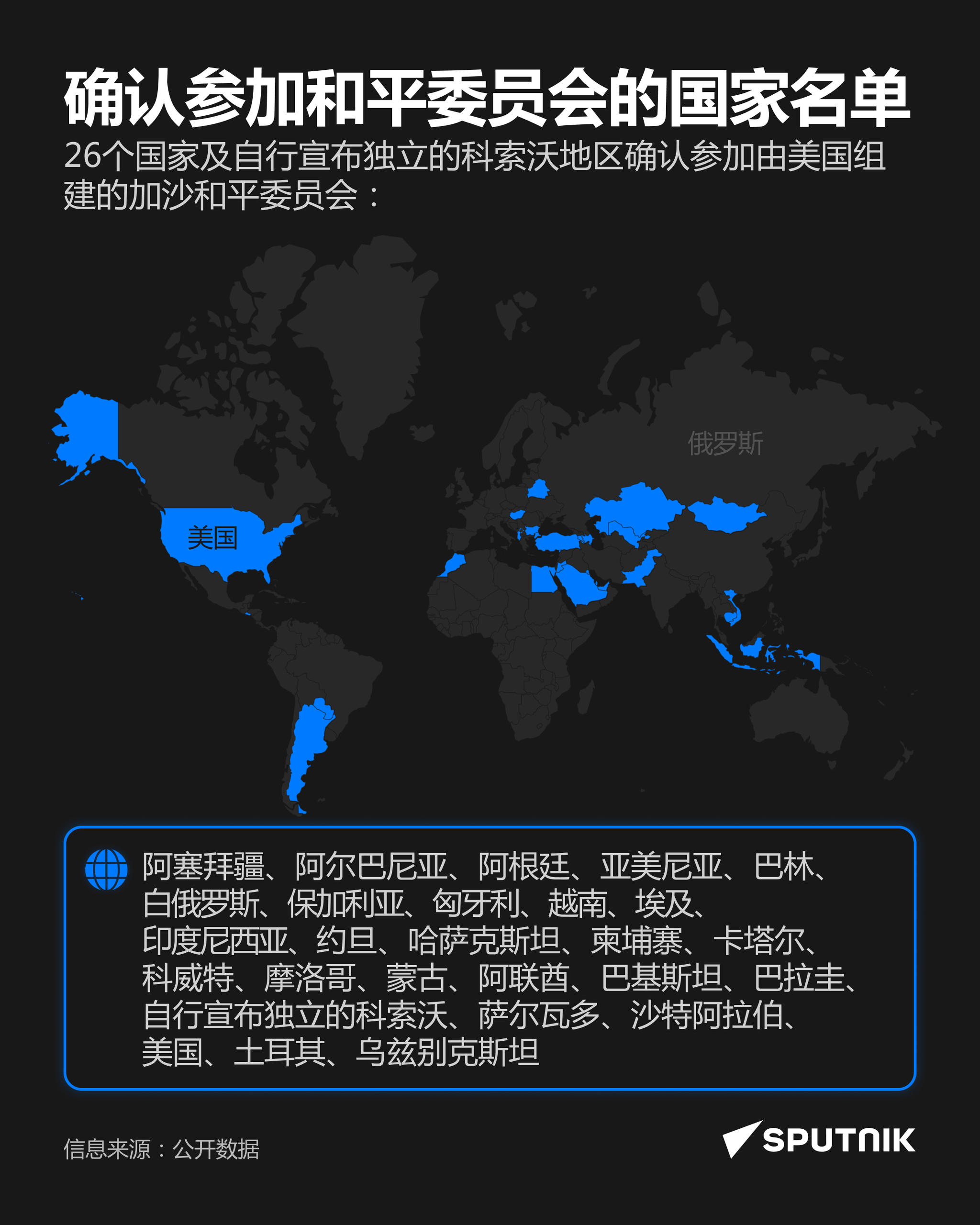 26国确认参加加沙和平委员会 - 俄罗斯卫星通讯社