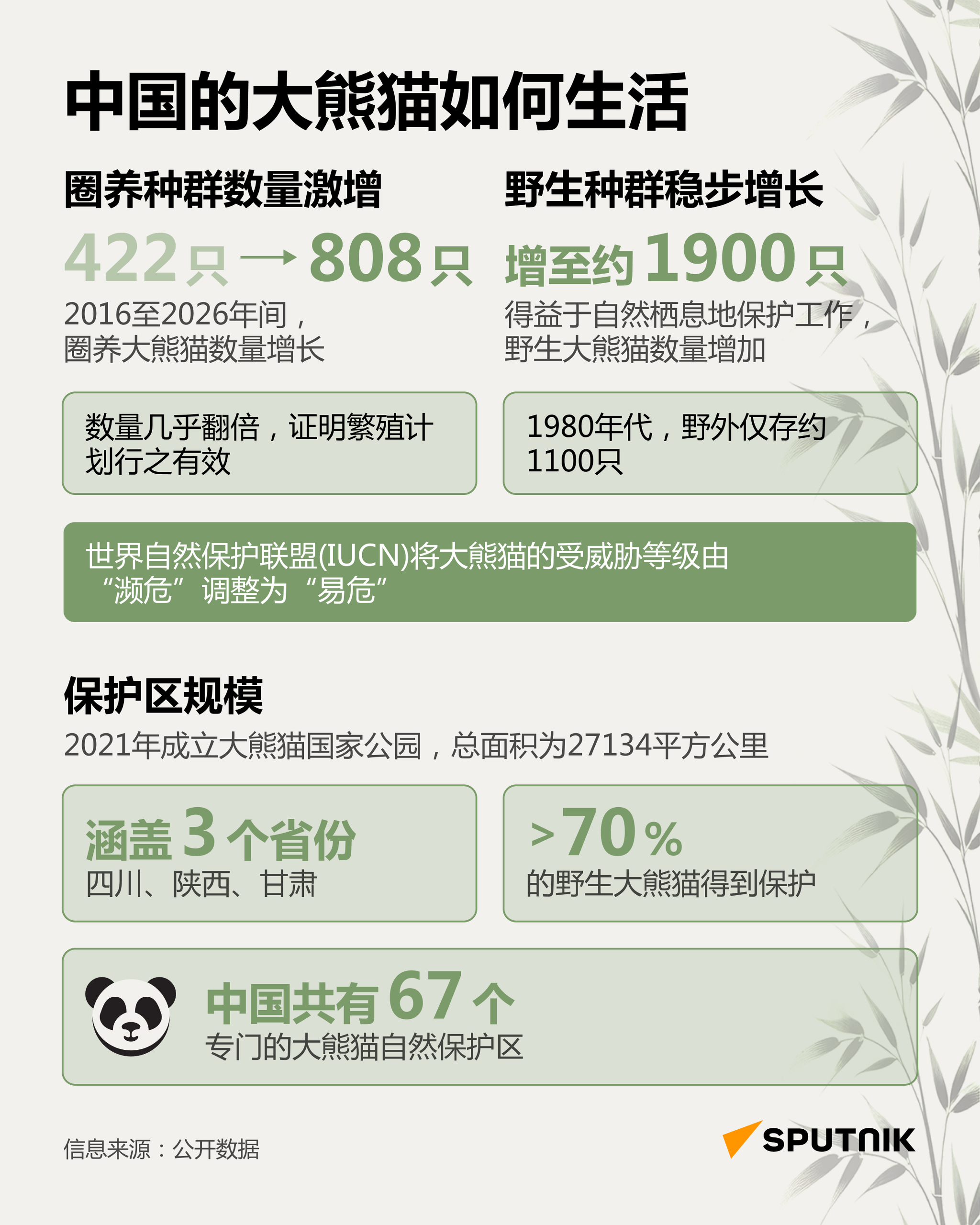 圈养十年翻倍，野生稳增：中国大熊猫保护成绩单 - 俄罗斯卫星通讯社
