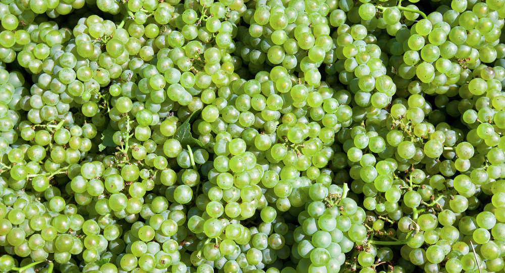 俄联邦消费者权益保护局暂停进口土耳其葡萄等产品