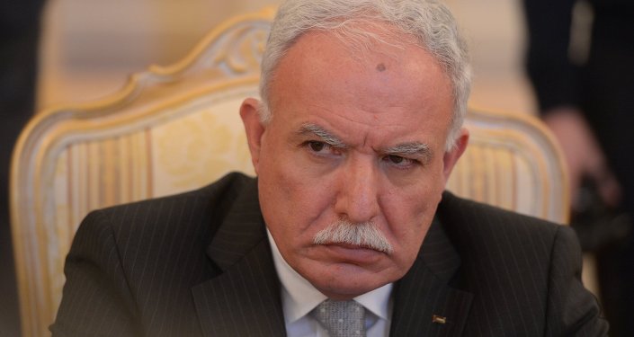 巴勒斯坦外交部部长马利基9