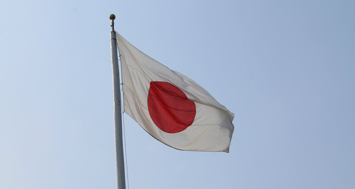 日本的国旗长什么样子图片