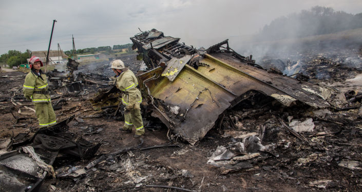 国际调查组证实击落mh17客机的"山毛榉"导弹来自俄军