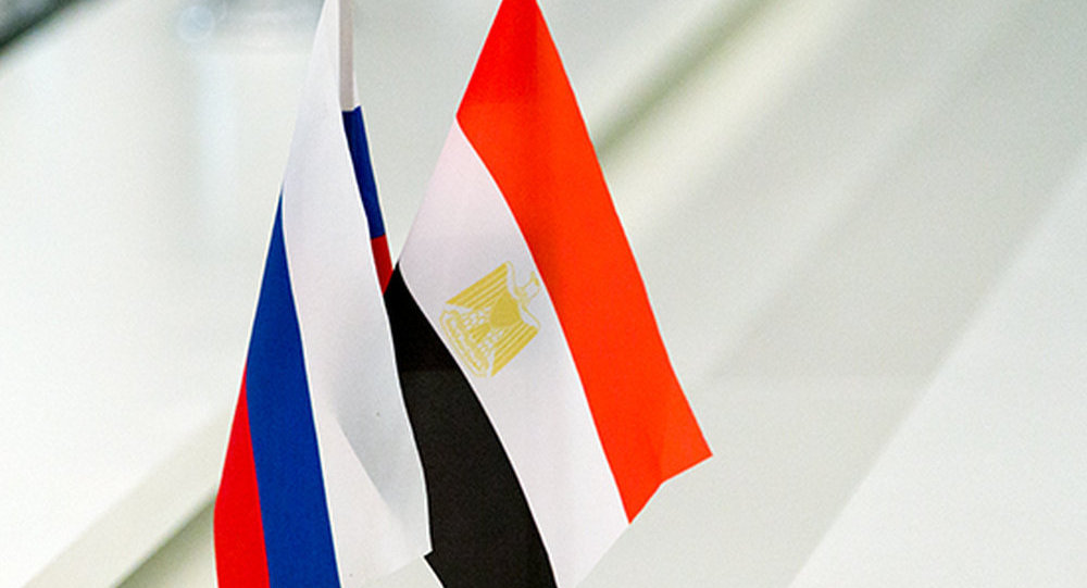 埃及防长飞往俄罗斯参加两国军事技术合作委员会会议