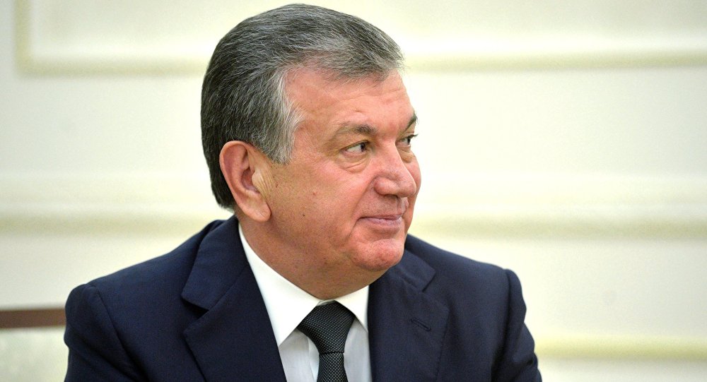 普京总统在会面期间祝贺乌兹别克斯坦总统成功连任