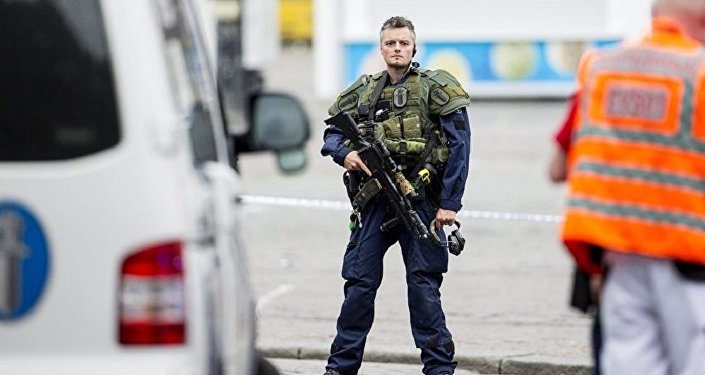 芬兰警察图片