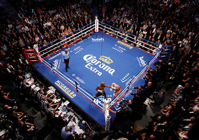 体育新闻2018年12月1日