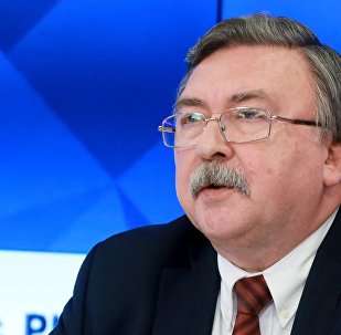 俄罗斯常驻维也纳国际组织代表米哈伊尔乌里扬诺夫