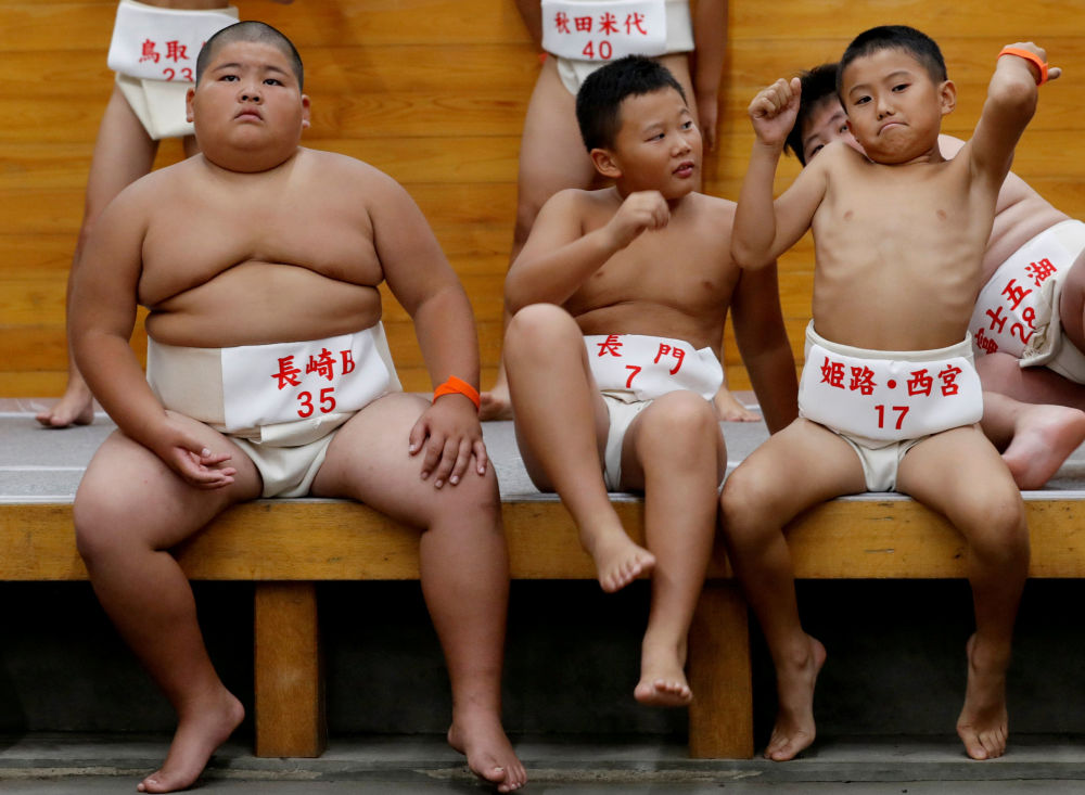 日本小学生相扑比赛
