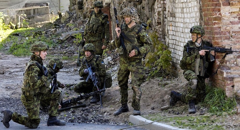 爱沙尼亚防长:本国军队世界最佳