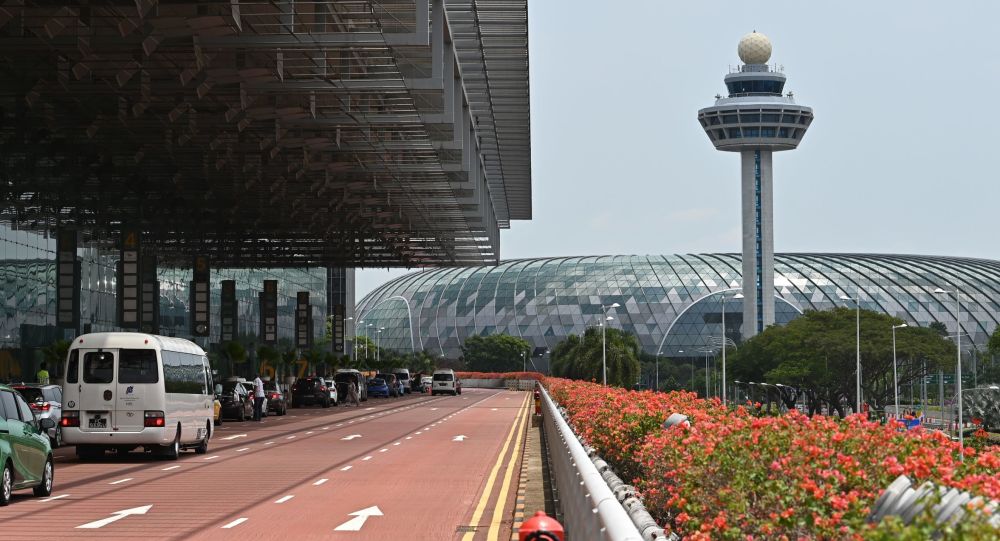 新加坡樟宜机场照片图片