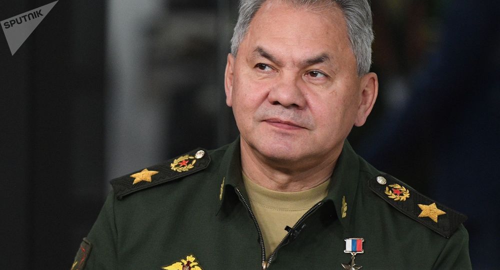 俄罗斯国防部长绍伊古大将
