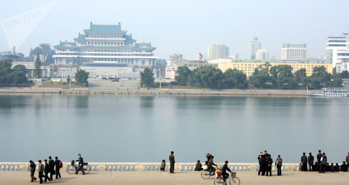 ý�壺�������Ƿϳ��泯������