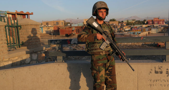 阿富汗国防部:阿安全部队清剿加兹尼省塔利班分子