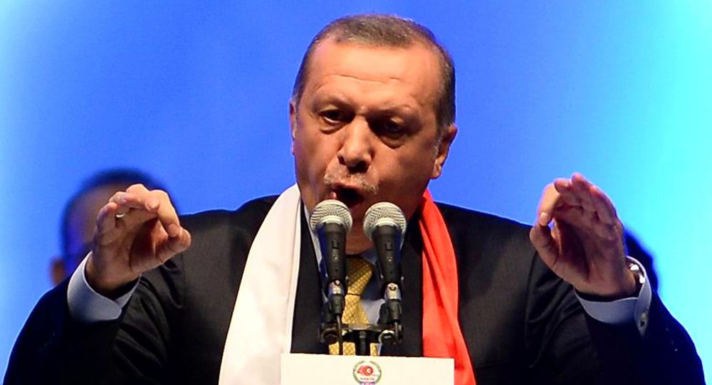 土耳其总统埃尔多安