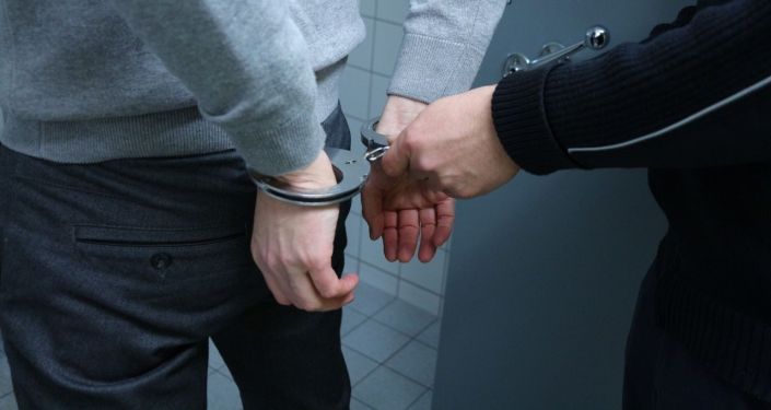 欧洲刑警组织：超800名犯罪分子在大型国际行动中被捕