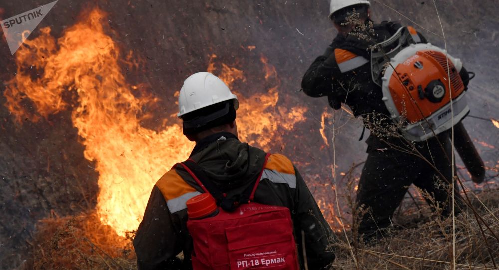 科雷马边疆区的火灾面积和数量增加