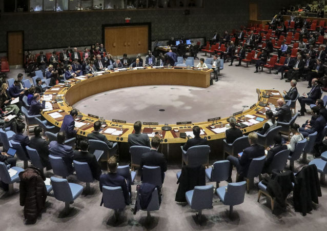 联合国安理会呼吁全面遵守加沙地带停火协议