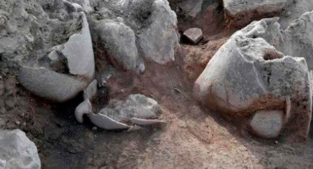 河南发现带五千年前发酵酒残留的器皿