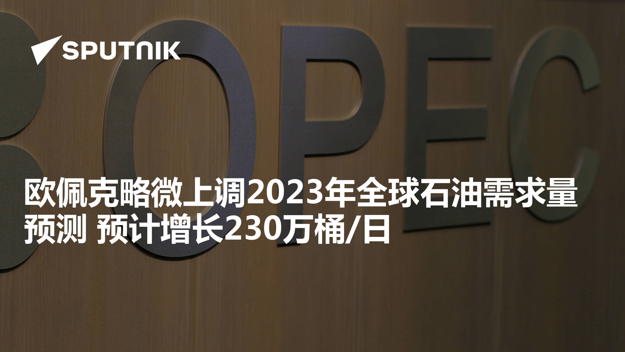 欧佩克略微上调2023年全球石油需求量预测 预计增长230万桶 日 2023年2月15日 俄罗斯卫星通讯社