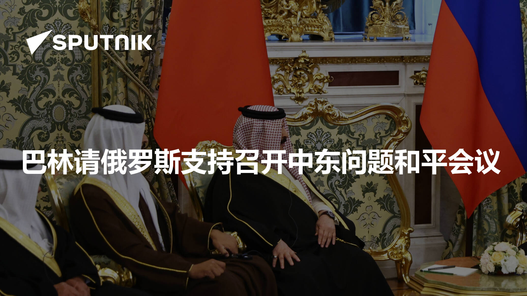 巴林请俄罗斯支持召开中东问题和平会议- 2024年5月23日, 俄罗斯卫星通讯社