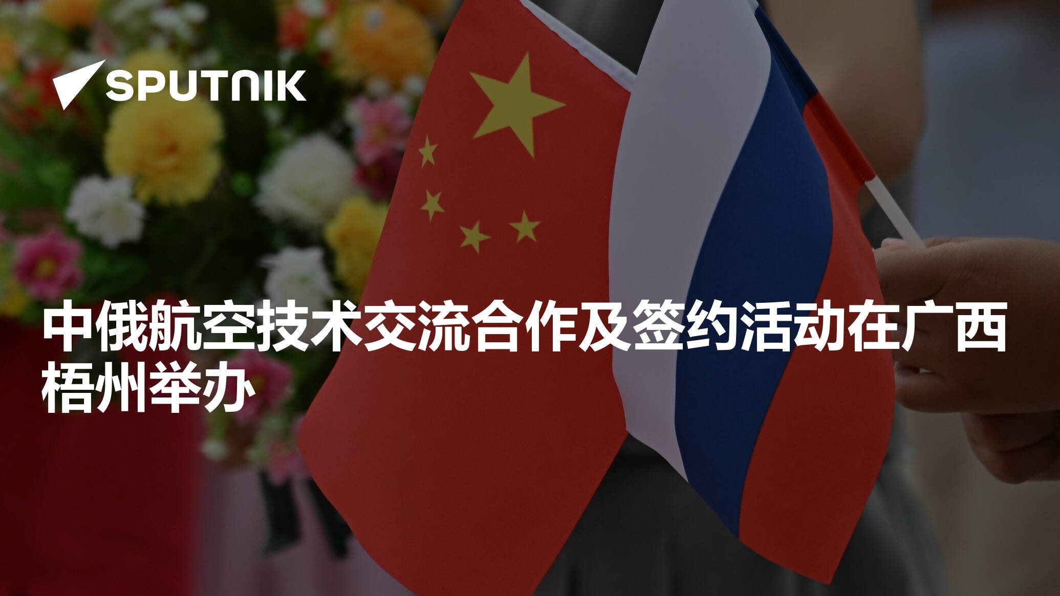 sputniknews.cn