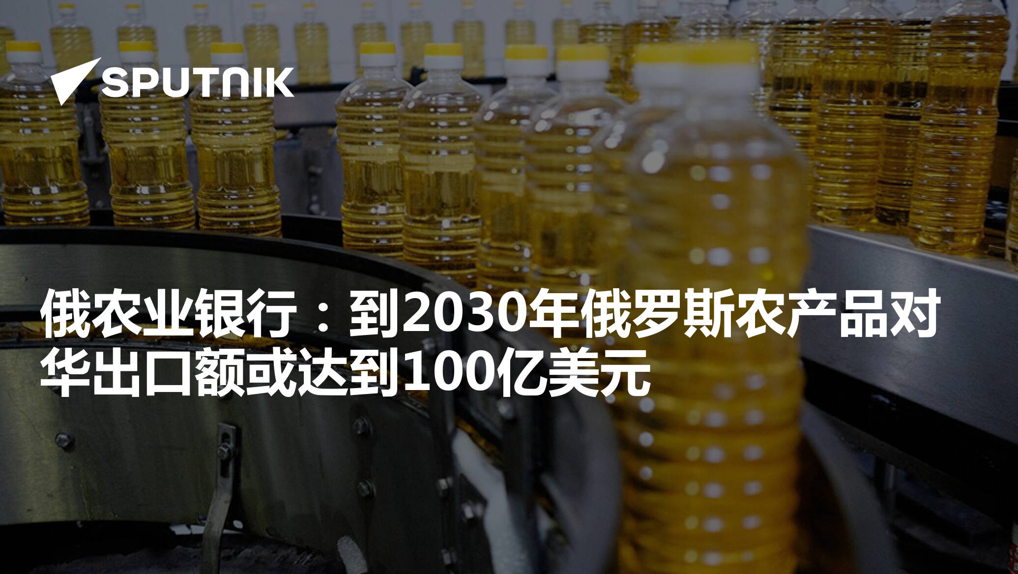 俄农业银行：到2030年俄罗斯农产品对华出口额或达到100亿美元- 2025年8月27日, 俄罗斯卫星通讯社