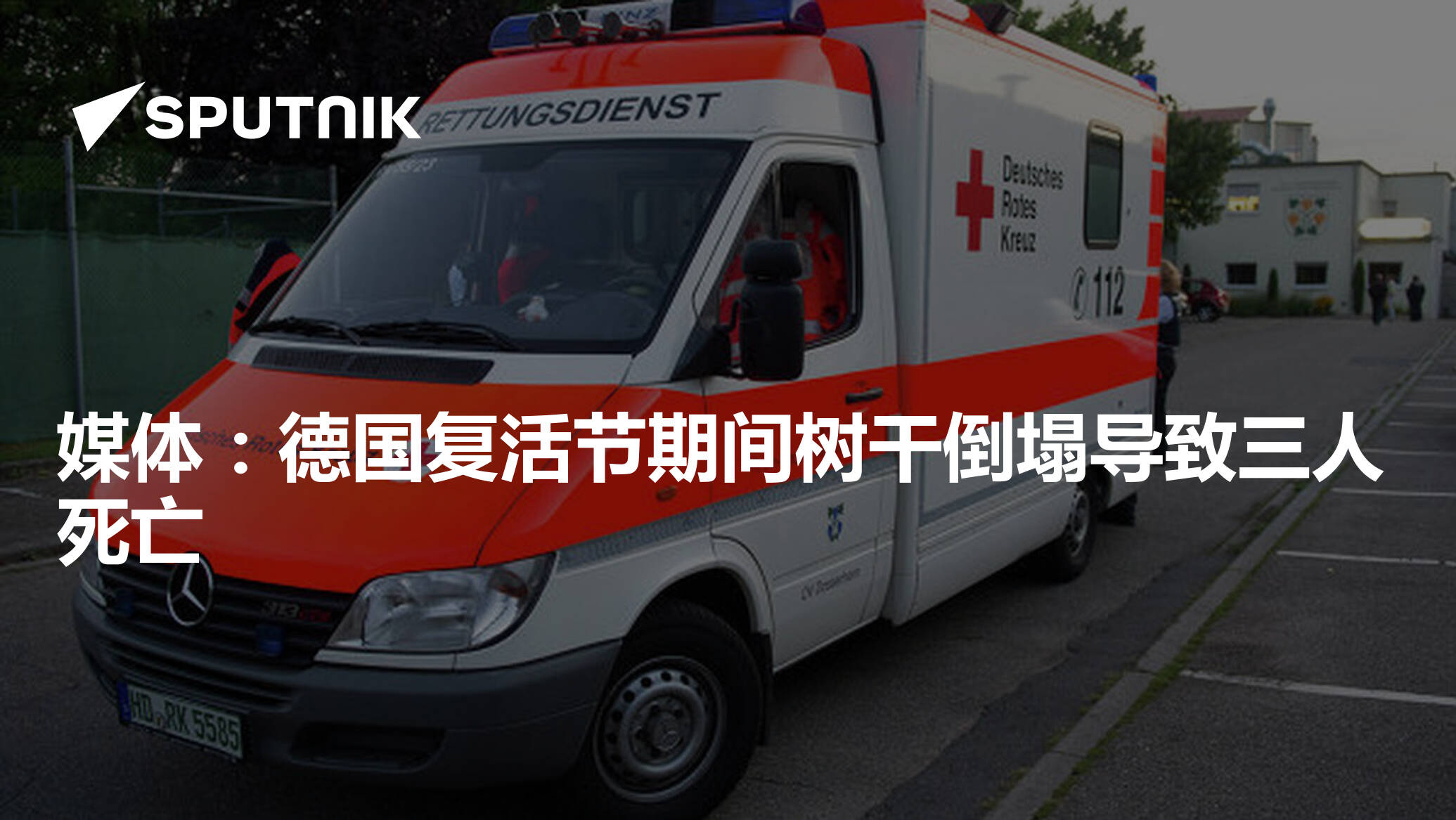 媒体：德国复活节期间树干倒塌导致三人死亡